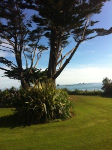 View from the cottage