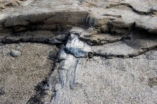 17991105_10154562848428634_3252578639116751148_n