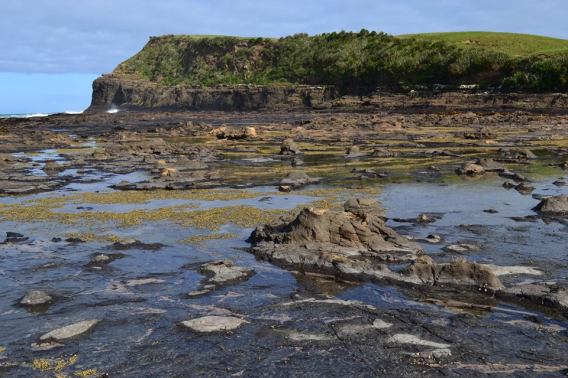 18056883_10154562846438634_7873910925018396915_n