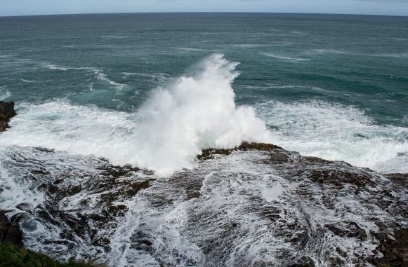 18057829_10154562847803634_3595589214597713406_n