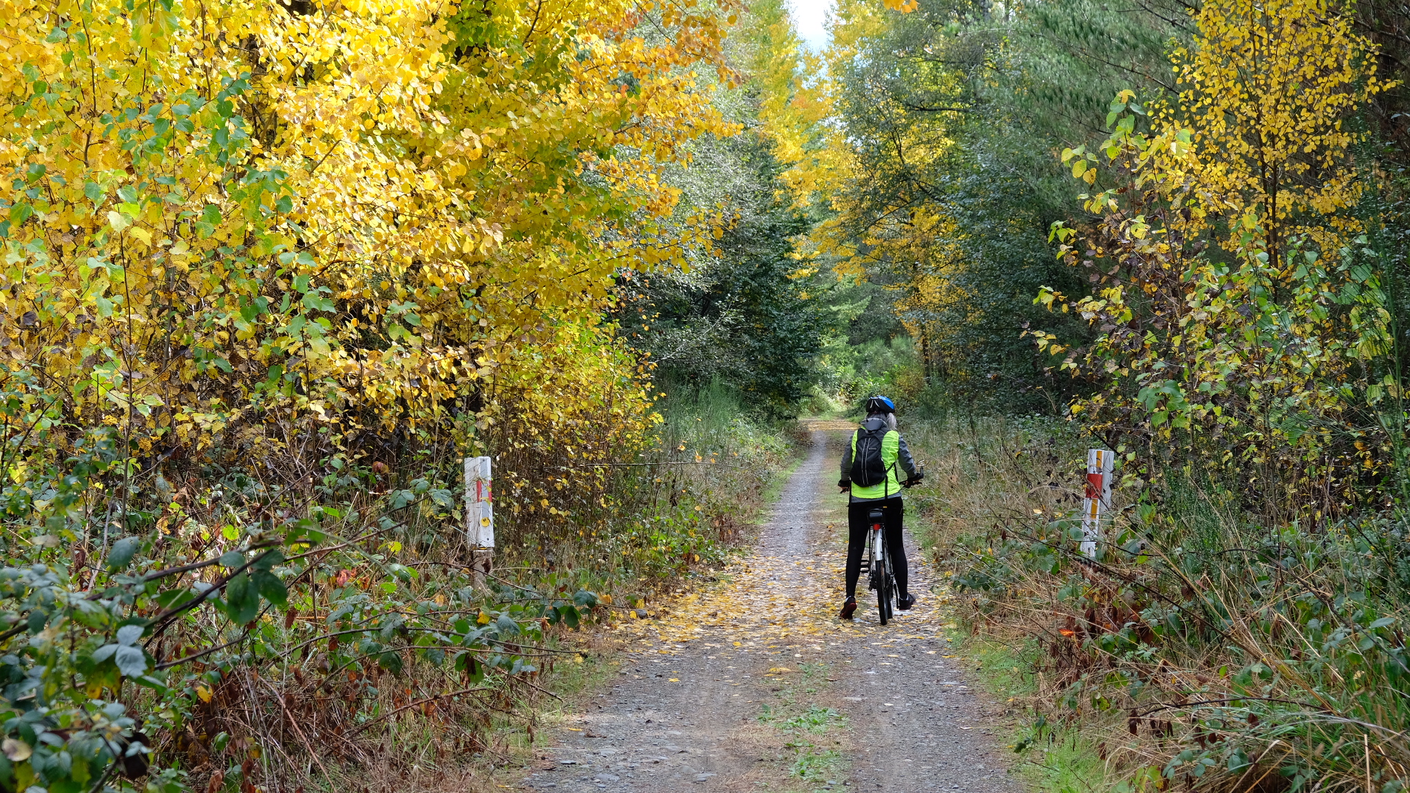 E792C440-6128-4758-9D39-91E55A24EC2B-12226-000001283E4774B0