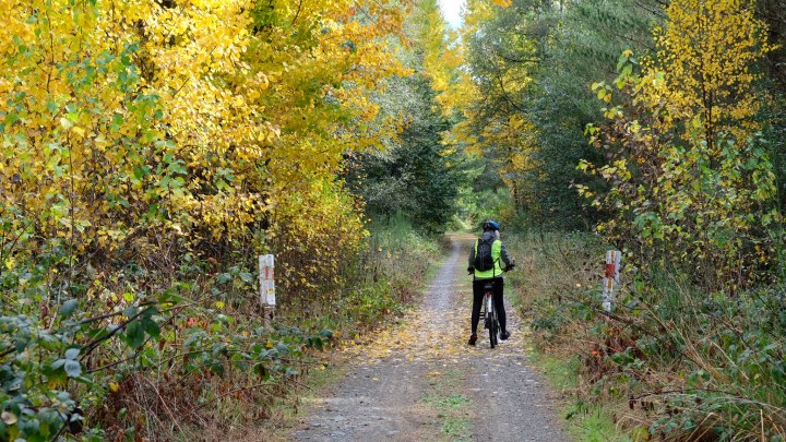 E792C440-6128-4758-9D39-91E55A24EC2B-12226-000001283E4774B0